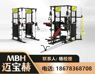 湖州多功能综合训练器