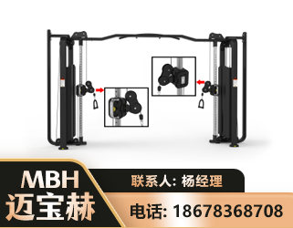 湖州大飞鸟训练器