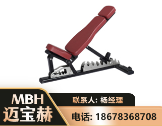 湖州可调哑铃椅